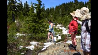 Hollyburn Mountain