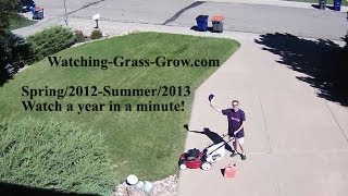 Watching Grass Grow: Spring/2012-Summer/2013