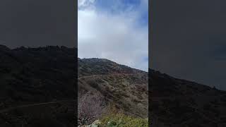 Amanos Dağlari