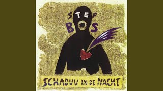 Watch Stef Bos Schaduw In De Nacht video