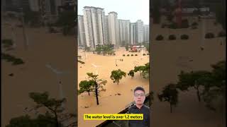 Typhoon Dusuri Was So Powerful That Cars Were Submerged Wherever It Went.