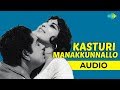 Kasturi Manakkunnallo Audio Song | Picnic | K.J. Yesudas Hits