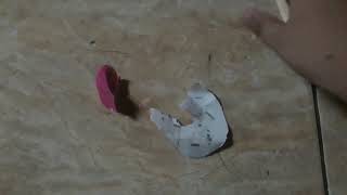 Destroying A Yet Another Tweenies Dvd