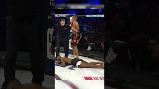 A Spinning Ko Meant For A Video Game