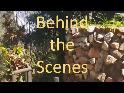 Behind the scenes