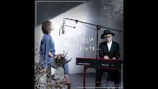 ドライフラワー 優里 Covered By Garnidelia