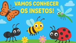 Vamos Aprender Os Insetos Educação Infantil
