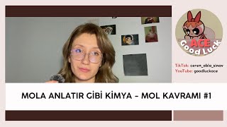 Mola Anlatır Gibi Ki̇mya - Mol Kavramı
