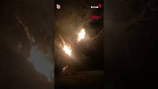 Tam 800 Yıllık Meşe Ağacı Alev Alev Yandı İşte O Anlar...