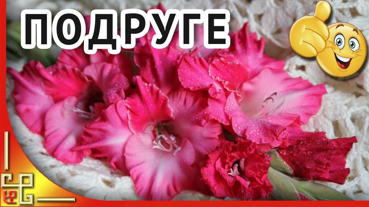 Комментарий подруге под с цветами Комментарий подруге под с цветами