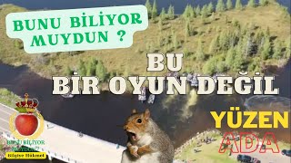 Dev Yüzen Ada