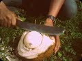 Dedi Cabul images Dedi Cabul