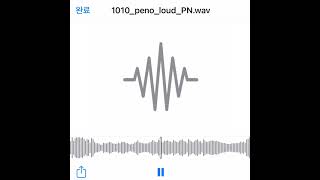 1010_Peno_Loud_Pn