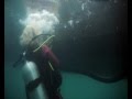 A világ legrosszabb filmjei I. - A kétfejű cápa támadása