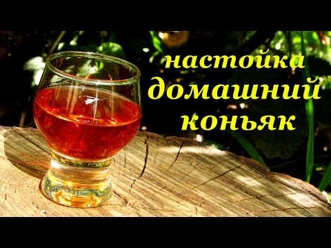 Рецепты приготовления коньяка в домашних условиях из спирта