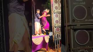 Pallavi