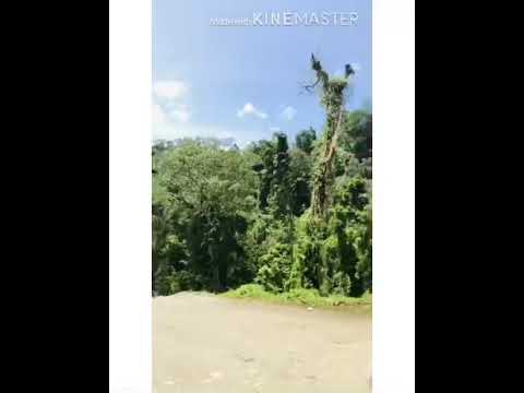 Its more fun in bubuludtua fall’s barira maguindanao