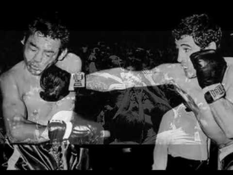 Lezioni Di Boxe Video