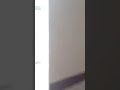 Arrastão em São Luís