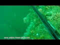 vidéos chasse sous marine hd