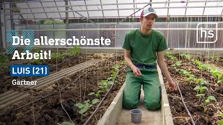 Wiesbaden Gärtnerei Setzt Auf Menschen Mit Behinderung Hessenschau