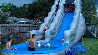 Funny Dogs on Water Slides Compilation