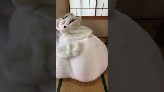 ５月９日はごっくんの日Fursuit Vore