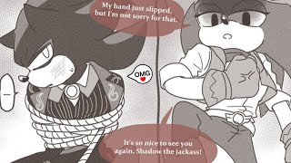 I Finally Caught You, Shadow... Shadow X Sonic Sonadow Comic Dub
