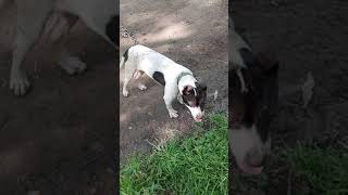 Agbpbt 31 Sit Day 1
