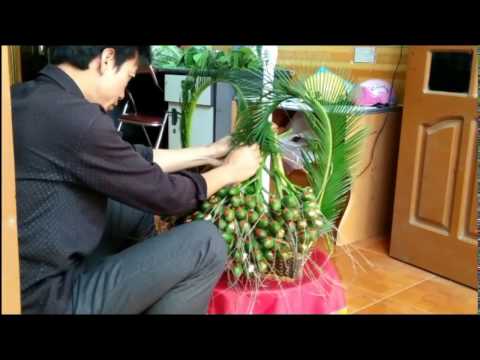 cách làm tráp ăn hỏi đẹp dễ làm mà không tốn nhiều cau