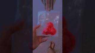 Kısa Vlog