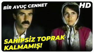 Bir Avuç Cennet - Arkamızdan Kuyumuzu Kazıyorlarmış Haberimiz Yok Tarık Akan Eski Türk Filmi