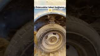 Volvo Toz Ve Örümcek Ağıyla Kaplanmış Tozlu Garaj