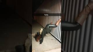 Amanda Teaches Twerking