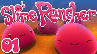 MES NOUVEAUX COMPAGNONS TROP MIGNONS ! | Slime Rancher ! #Ep1