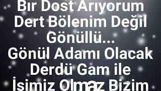 Şu Benım Divane Gönlum