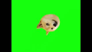 Mlg Green Screen Dog