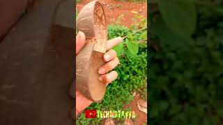Hand Made Coconut Shell Artwork