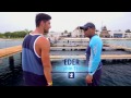 YoMuscleBoii Swimming with Dolphins in Mexico - Royal Caribbean Adventure