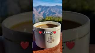 Lbsnaa Ias Ips Upsc Motivation Status