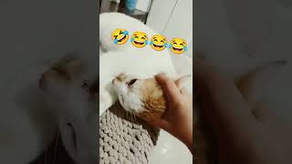 Coco Say Ahhhhhhh