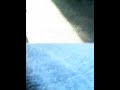 en la 18 de guayaquil-la CHICA mas famosa en hilo_NEW.avi