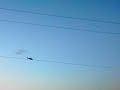 Stalked by my ex-husband in a blackhawk