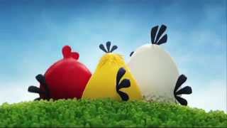 Angry Bird New Galaxy Ace