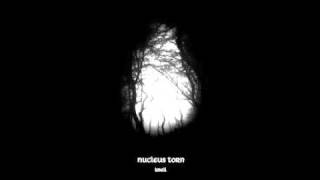 Watch Nucleus Torn Ii video