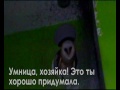 Видео Ушастая сова и ара - сам от себя в шоке