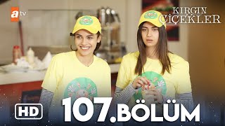 Kırgın Çiçekler 107. Bölüm Hd