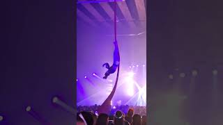 La Fête Foraine Techno Madame Loyal Revient À Lille Le 9 Mai Pour Une Soirée Incroyable