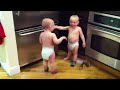Talking Twin Babies funny