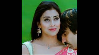 Shriya Saran Compilation Don Seenu Movie Saran
